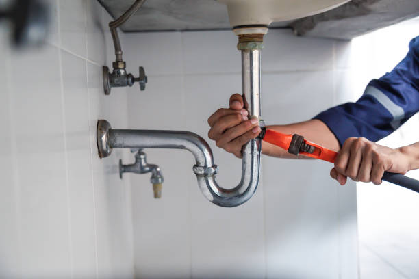 Best Commercial Plumbing Services  in Rancho San Diego, CA